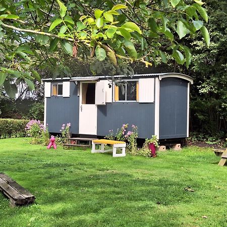 Slaaphuisjes Op Wielen Buitenwedde Westerwolde Extérieur photo