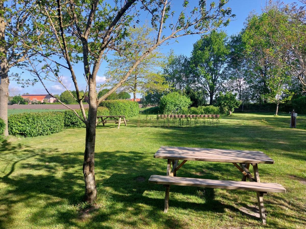 Slaaphuisjes Op Wielen Buitenwedde Westerwolde Extérieur photo