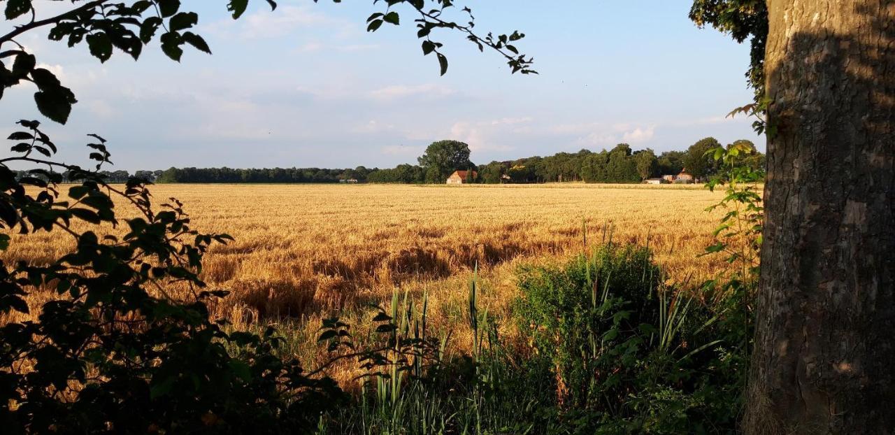Slaaphuisjes Op Wielen Buitenwedde Westerwolde Extérieur photo